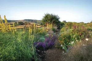 John Coke's garden in the South Downs Garden in the countryside