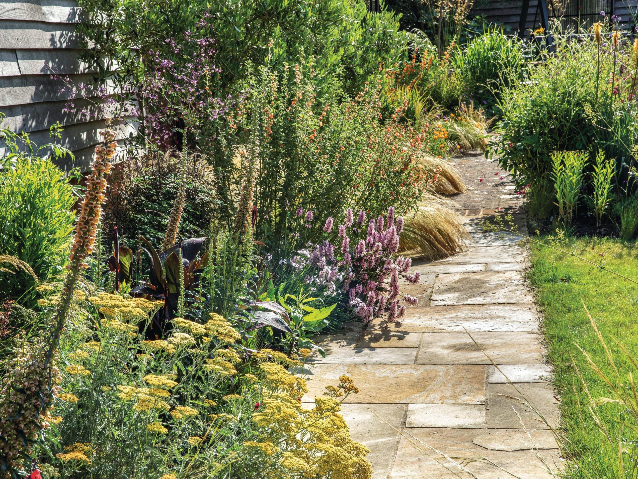 Garden path and borders