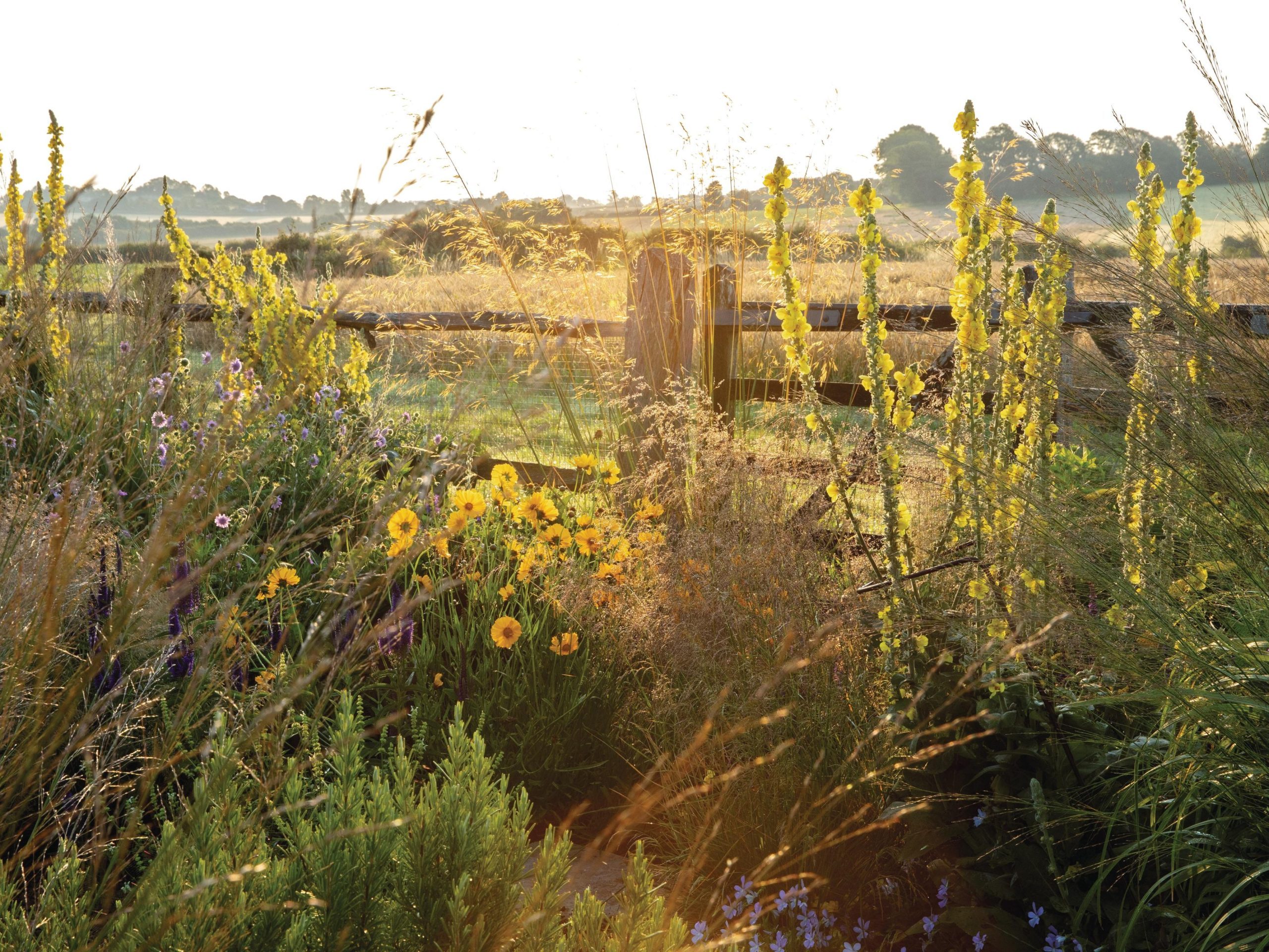 Garden by fields