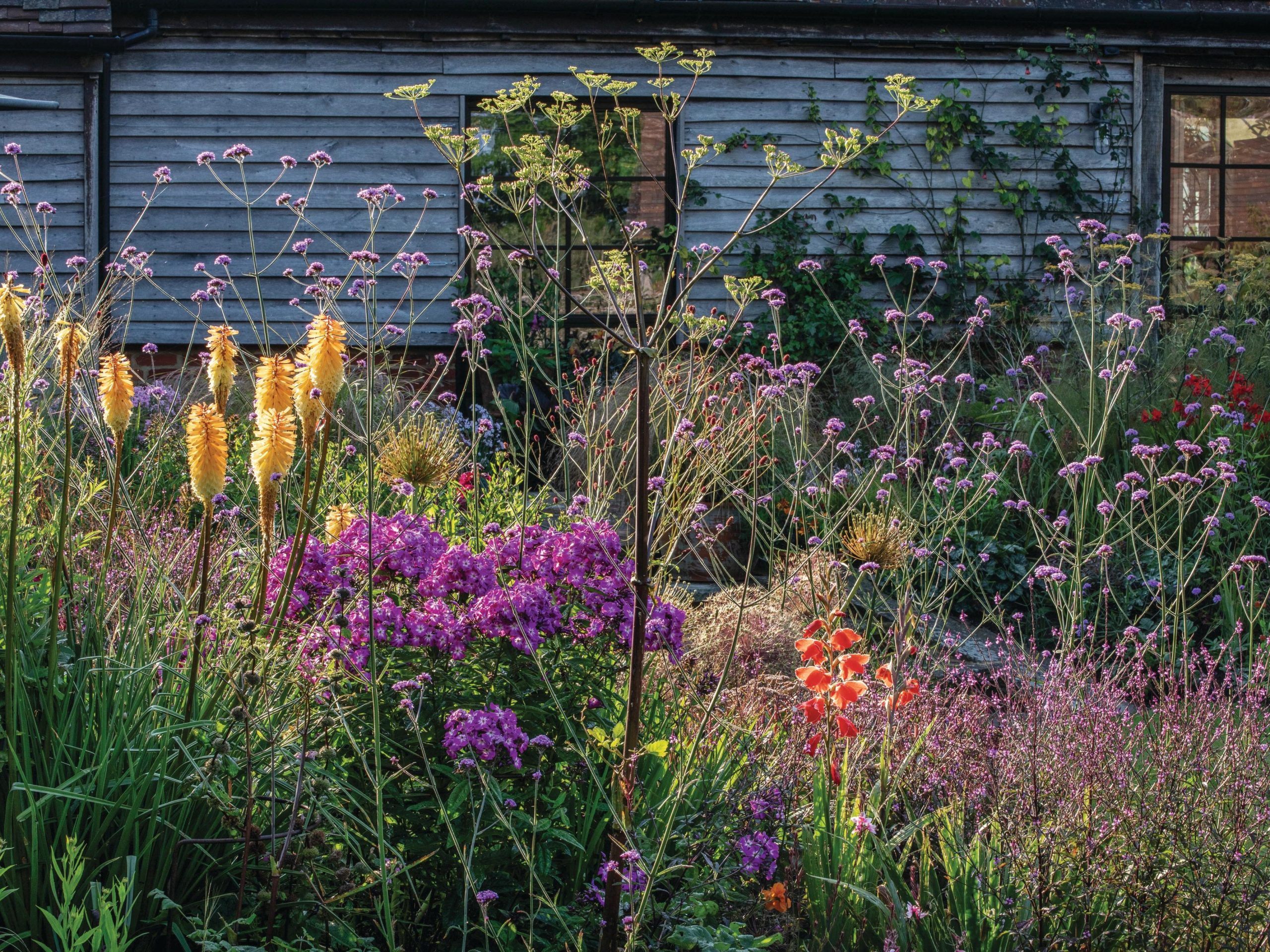 Flowers in bloom
