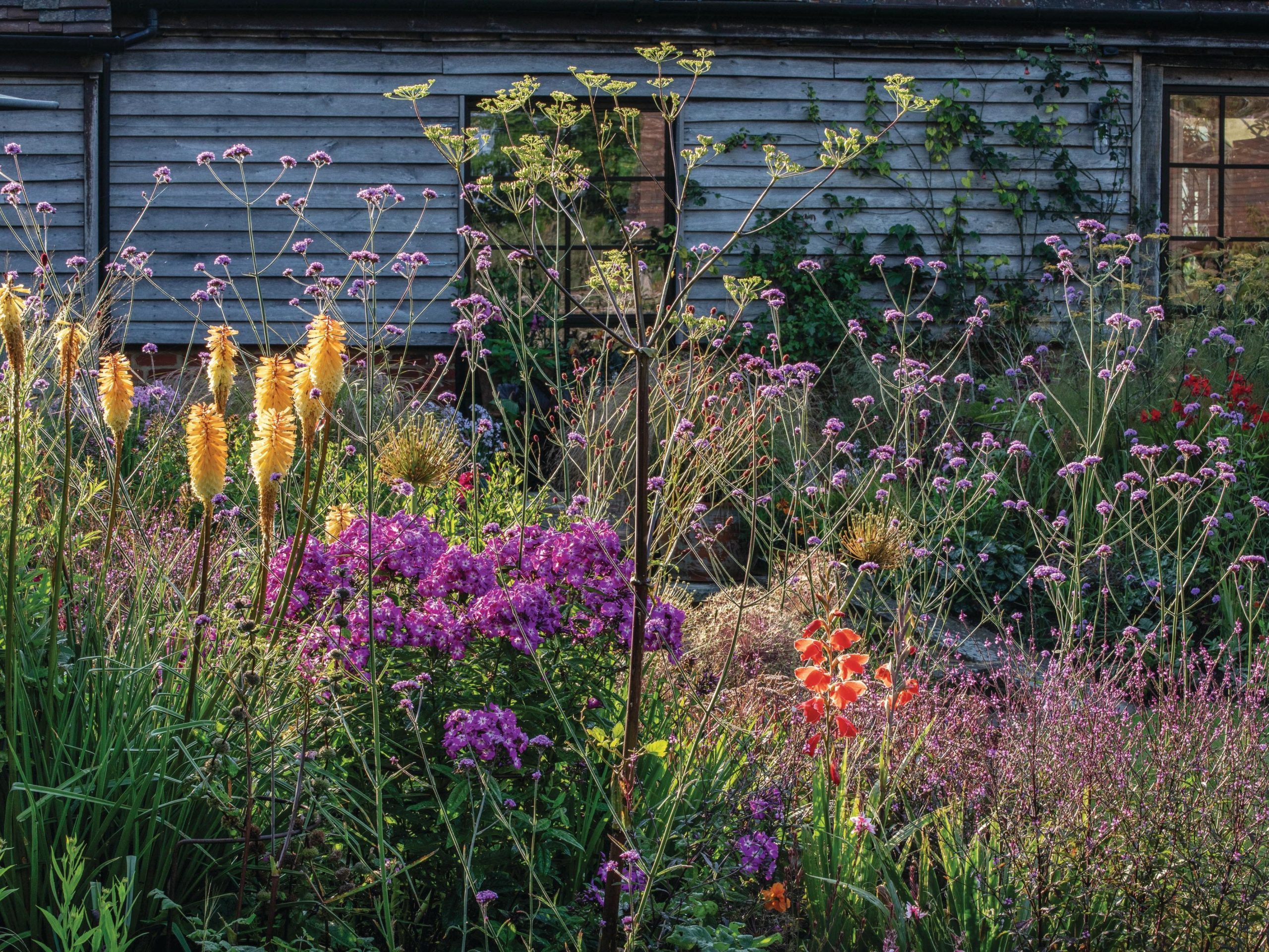 Flowers in bloom