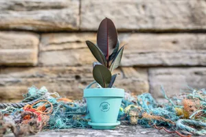 OceanPots OceanPots