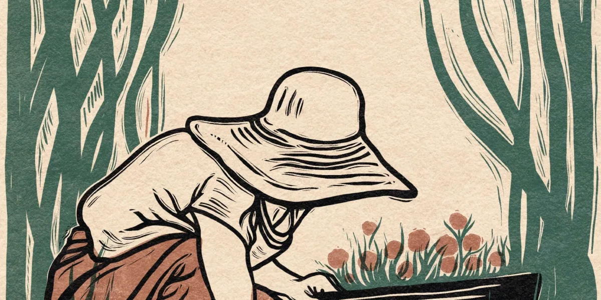 Garden illustration Garden illustration