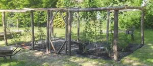 Wooden frame fruit cage Wooden frame fruit cage