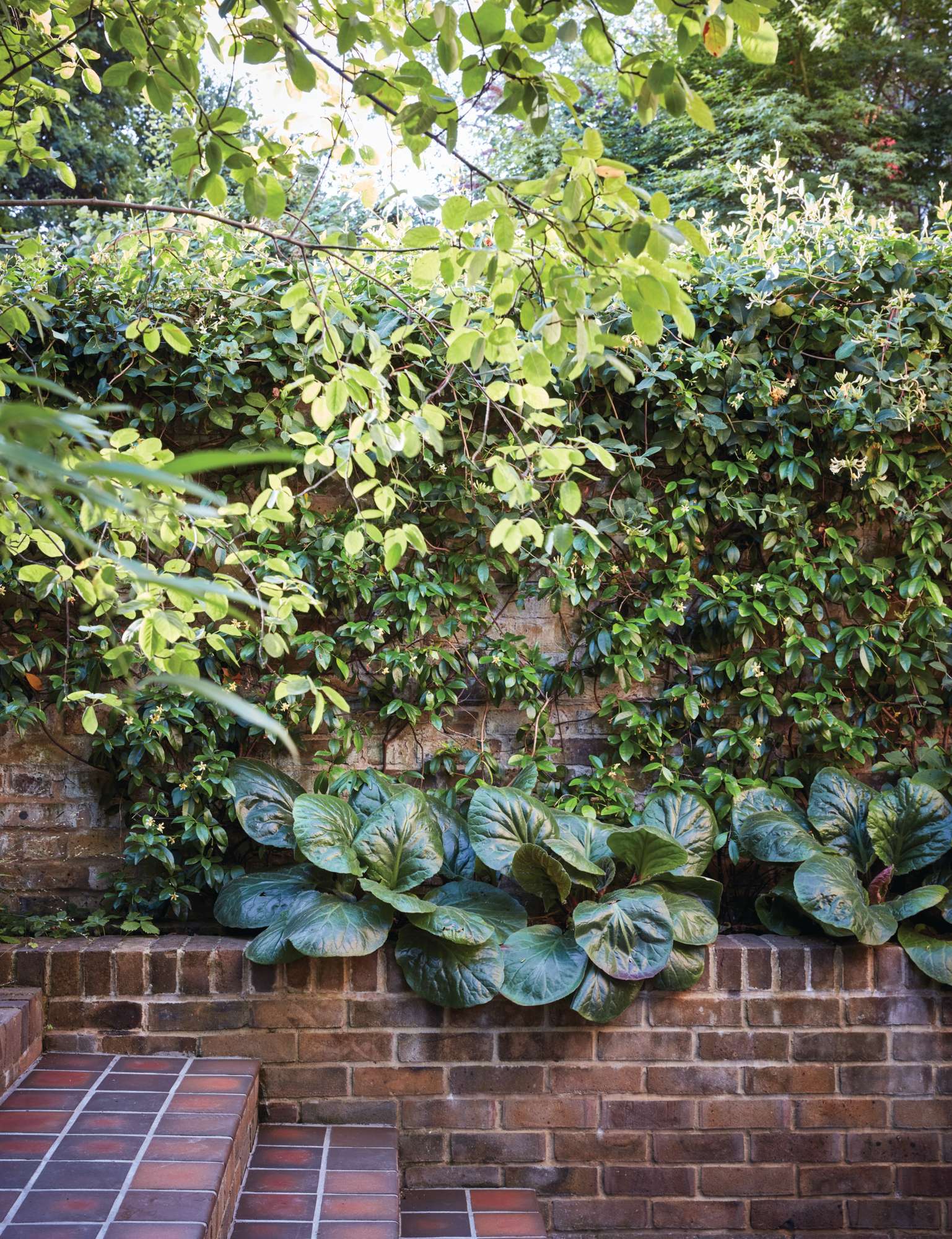 Dan Pearson London garden