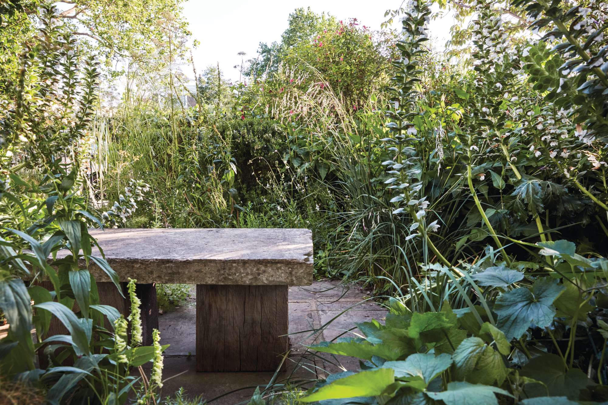 Dan Pearson London garden
