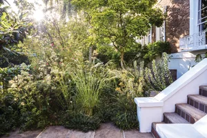 GI_DP_Camden_2025_0708_263_preview Dan Pearson London garden