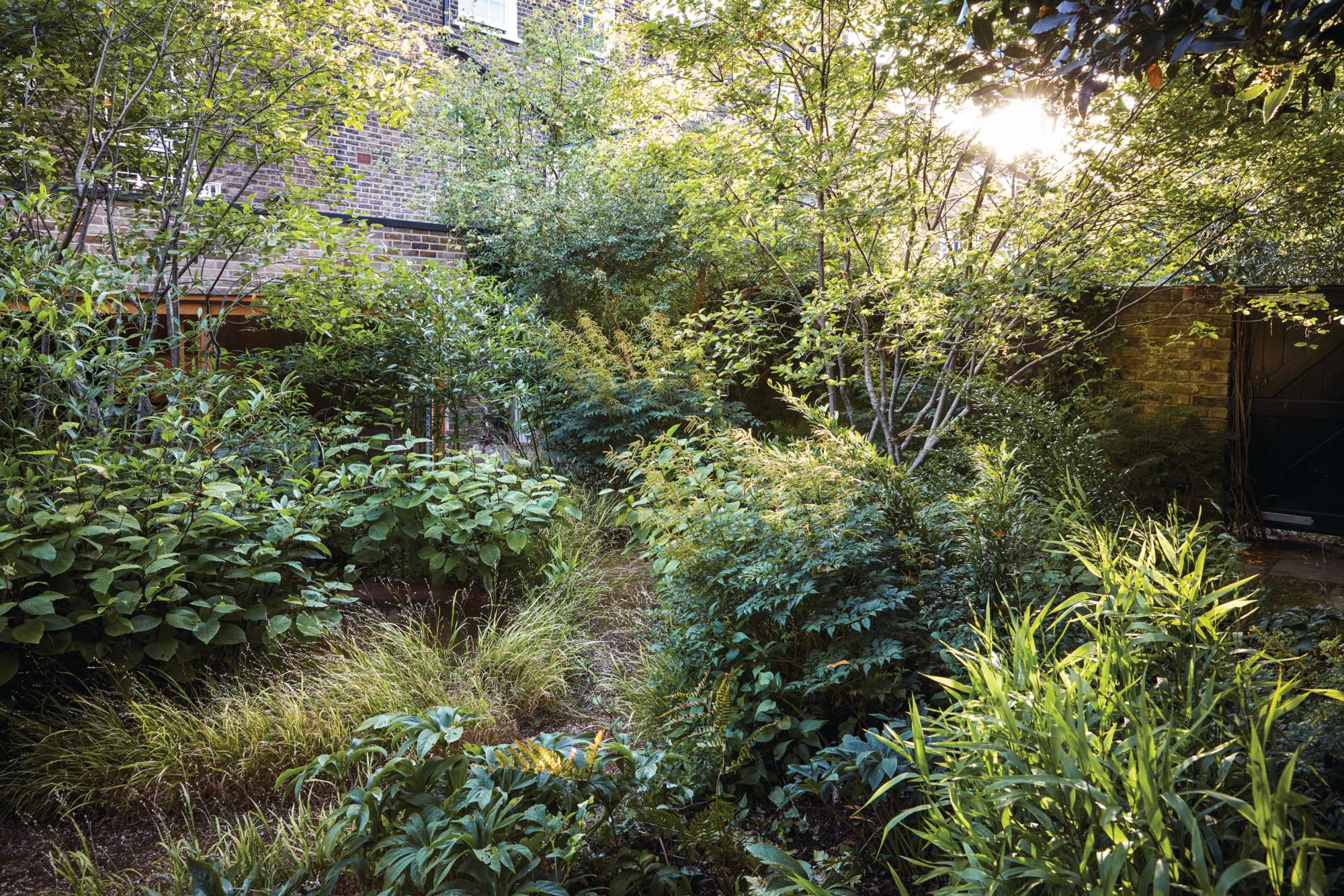 Dan Pearson London garden