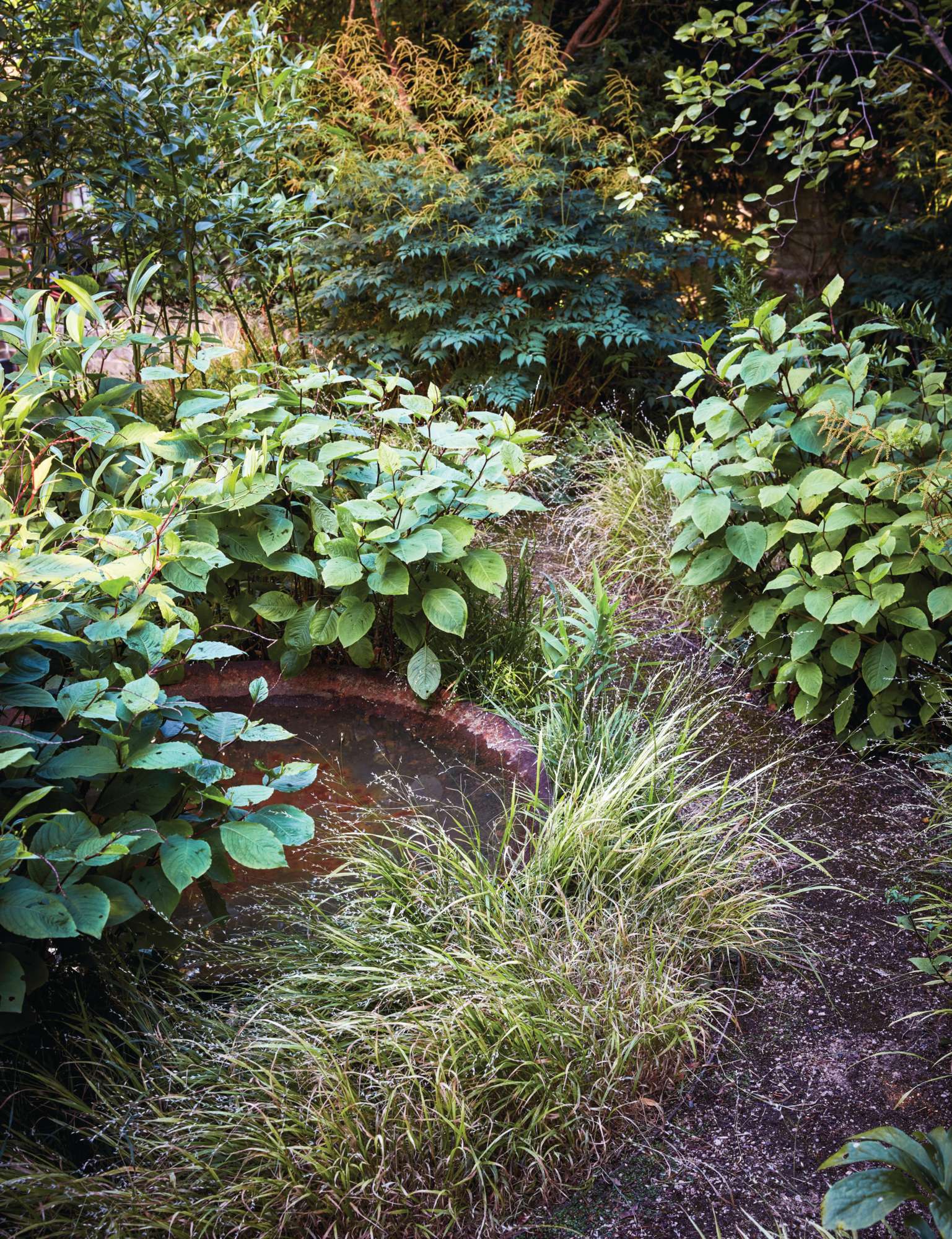 Dan Pearson London garden