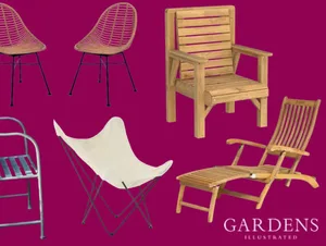 Garden chairs A selection of garden chairs on a pink background
