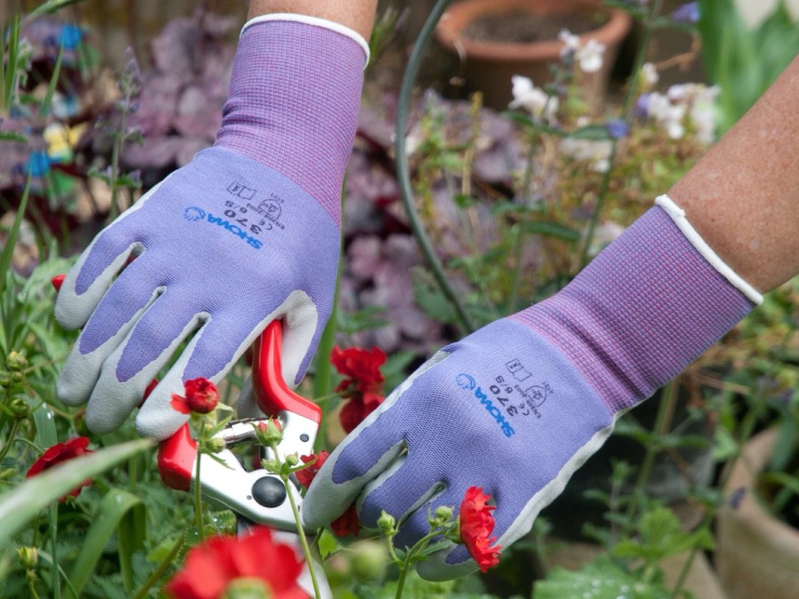 Purple garden gloves