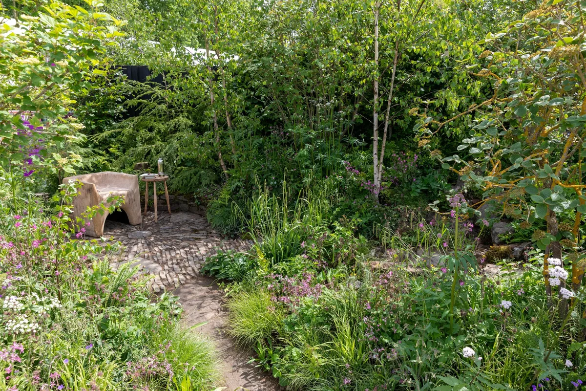 Woodland Trust: Forgotten Forests Garden. Designed by Ashleigh Aylett. All About Plants. RHS Chelsea Flower Show 2026. Site no. 118