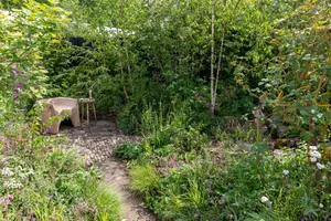 Woodland Trust: Forgotten Forests Garden. Designed by Ashleigh Aylett. All About Plants. RHS Chelsea Flower Show 2026. Site no. 118