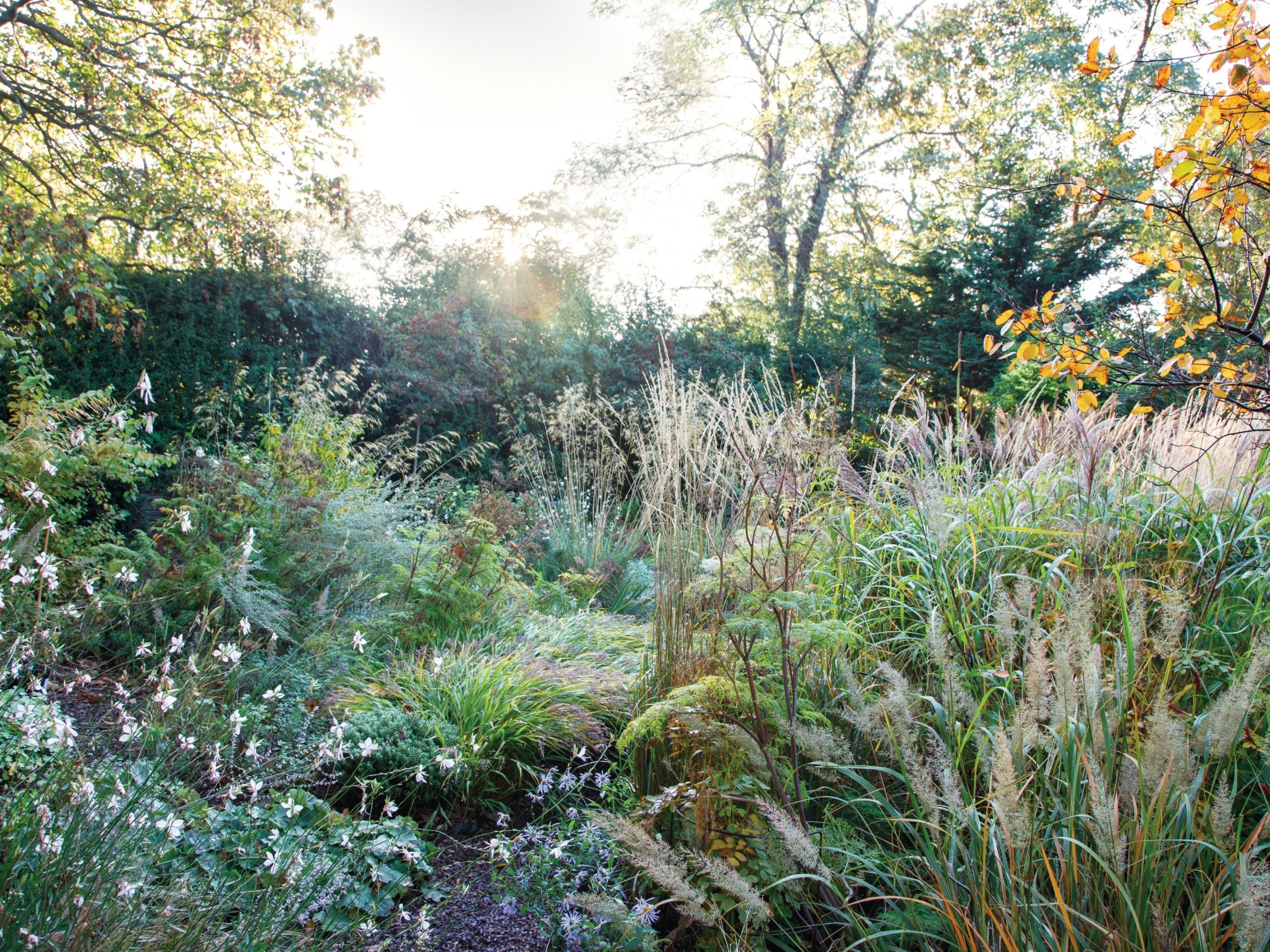 Garden borders