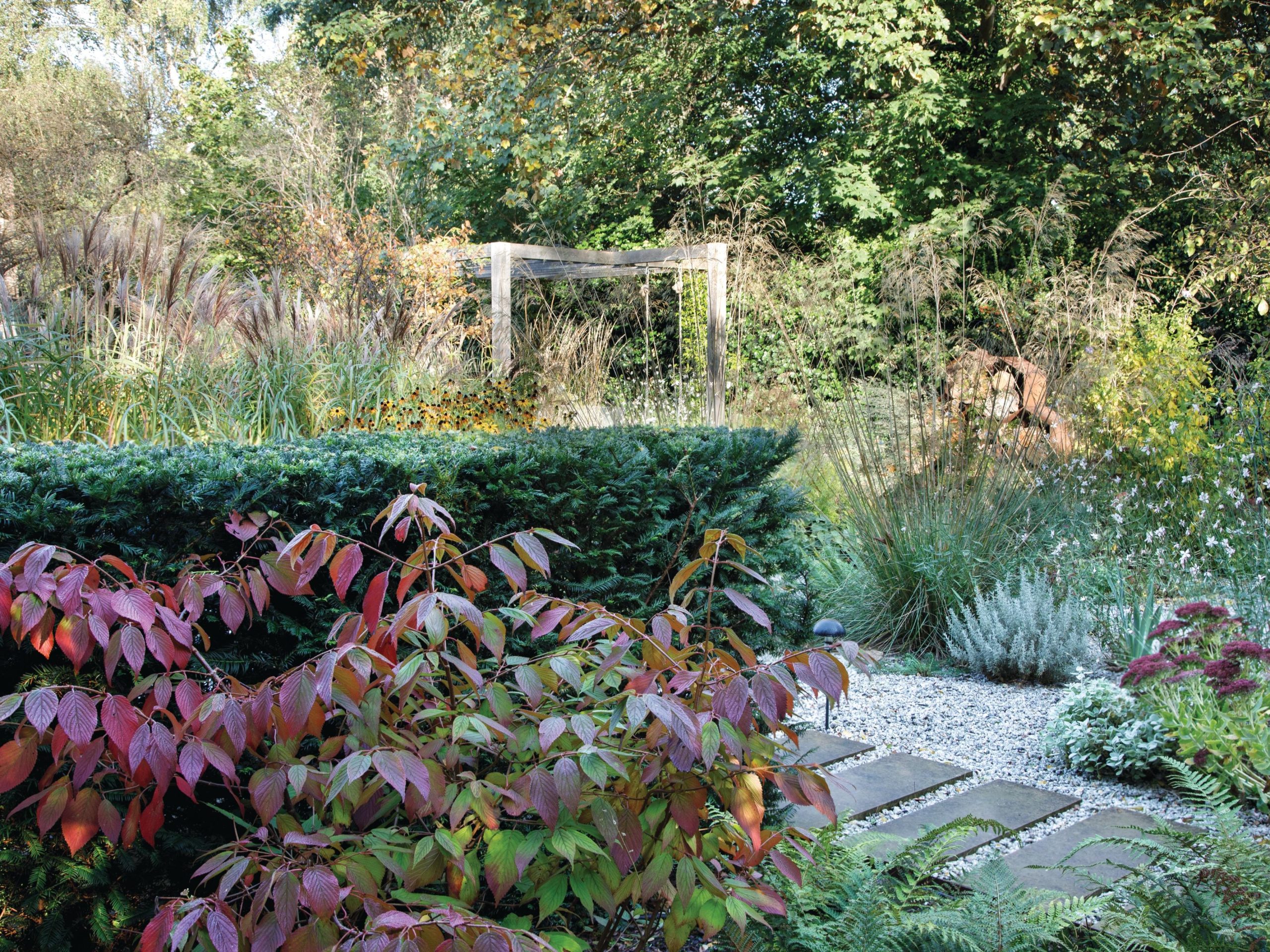 Garden borders and path