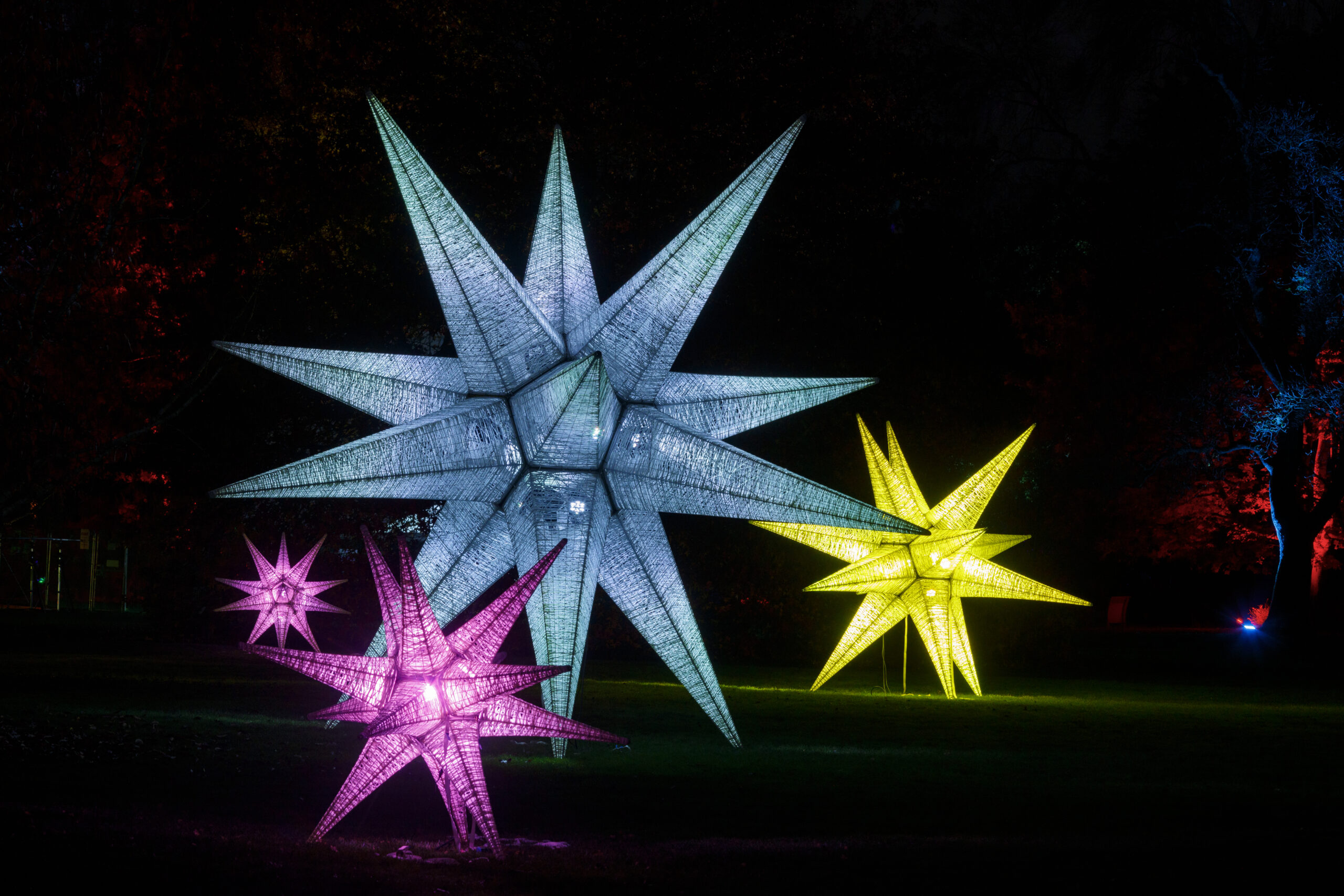 'Glow' at RHS Garden Wisley.