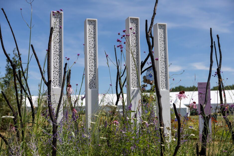 Plantwild: The Pollinators Sanctuary Garden. Designed by Darren Gillingham.