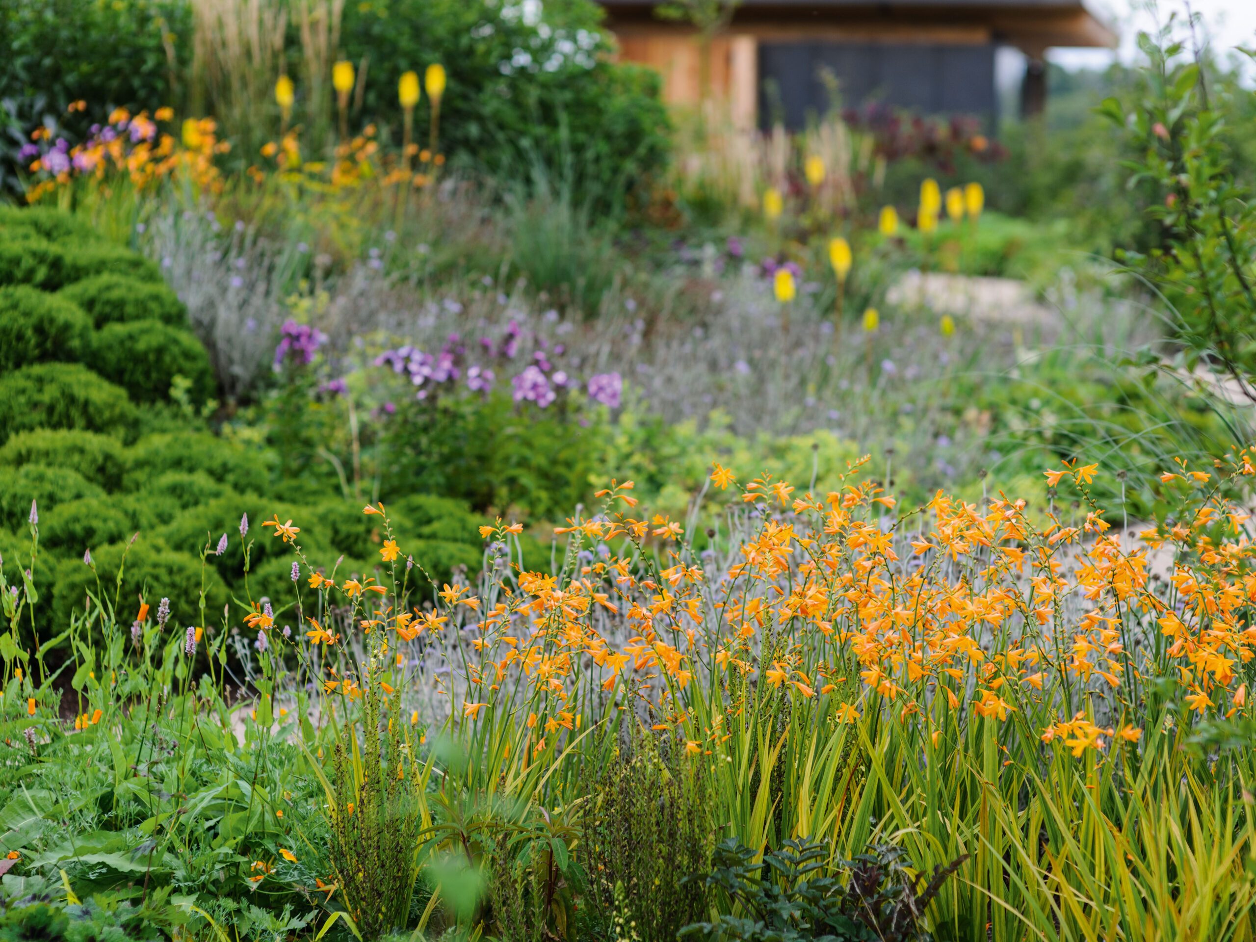 Marian Boswell's layered border planting plan