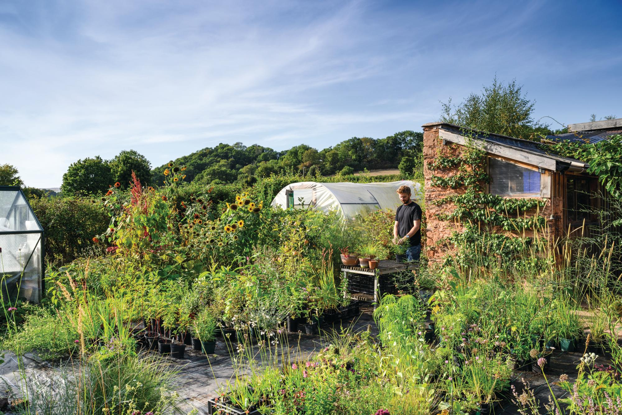 Tom Nielsen's Biocentric Plants