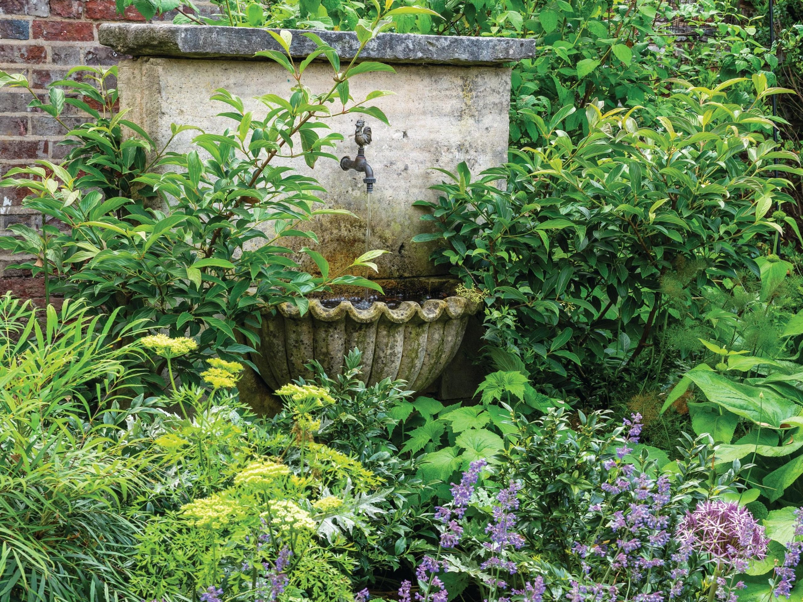 Garden border and fountain