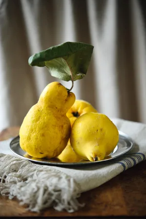 Quince: what is it and how to plant quince Quince: what is it and how to plant quince