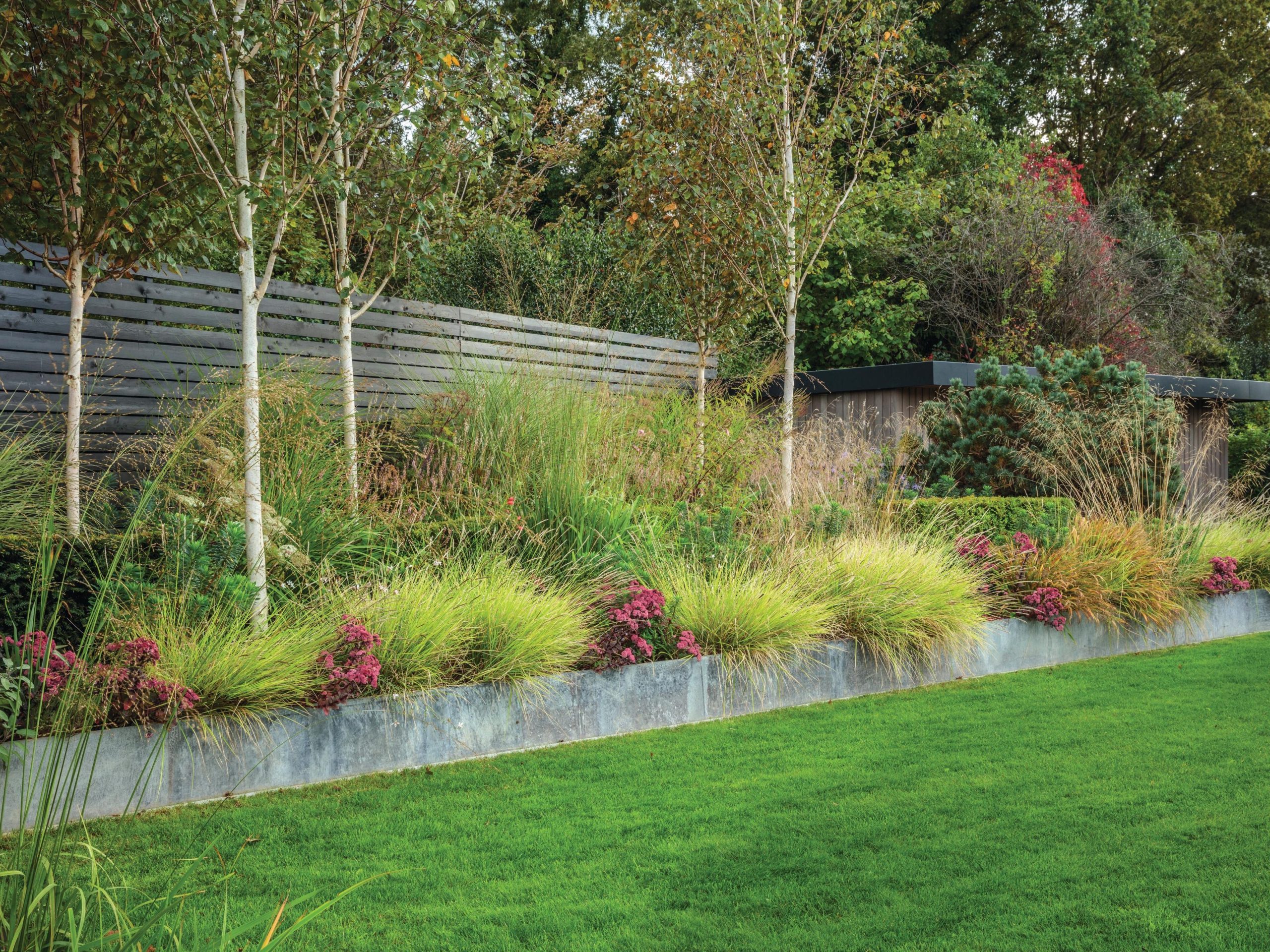 Garden border and lawn
