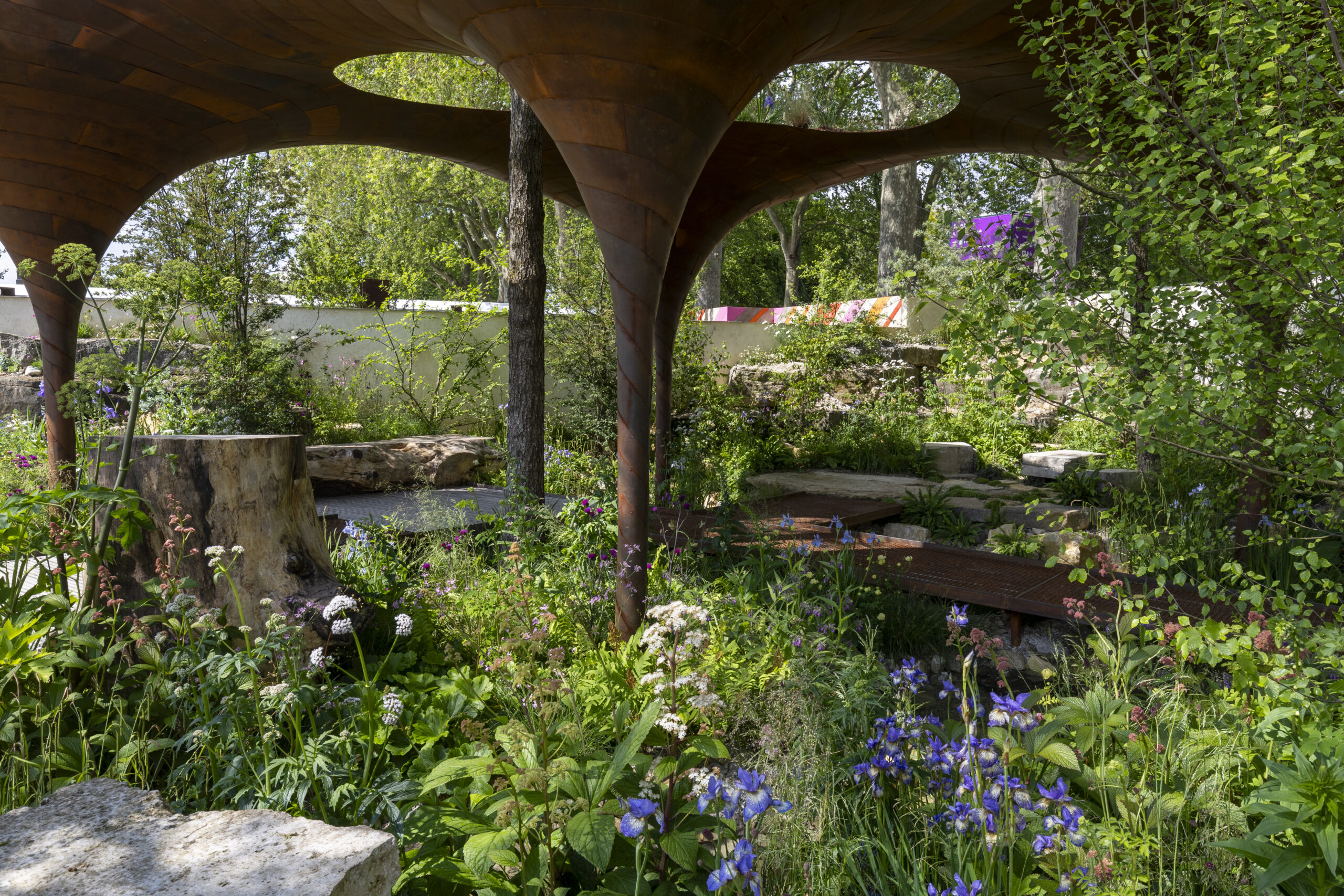 The WaterAid Garden. Designed by Tom Massey and Je Ahn at RHS Chelsea Flower Show 2024.