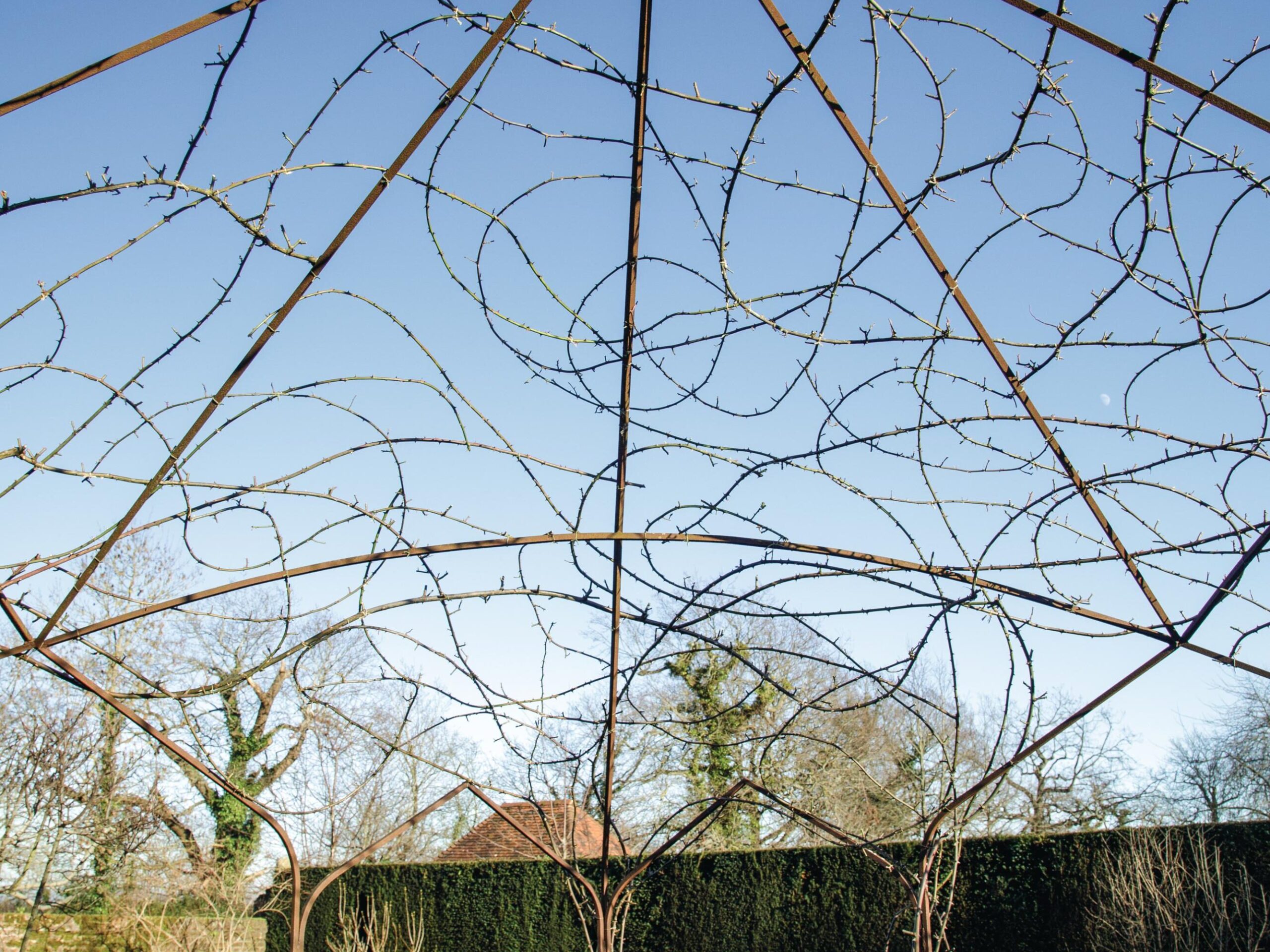 Garden frame in walled garden