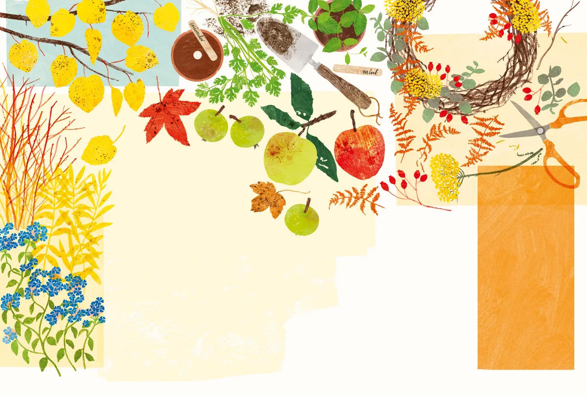 What to plant in October © Alice Pattullo What to plant in October © Alice Pattullo