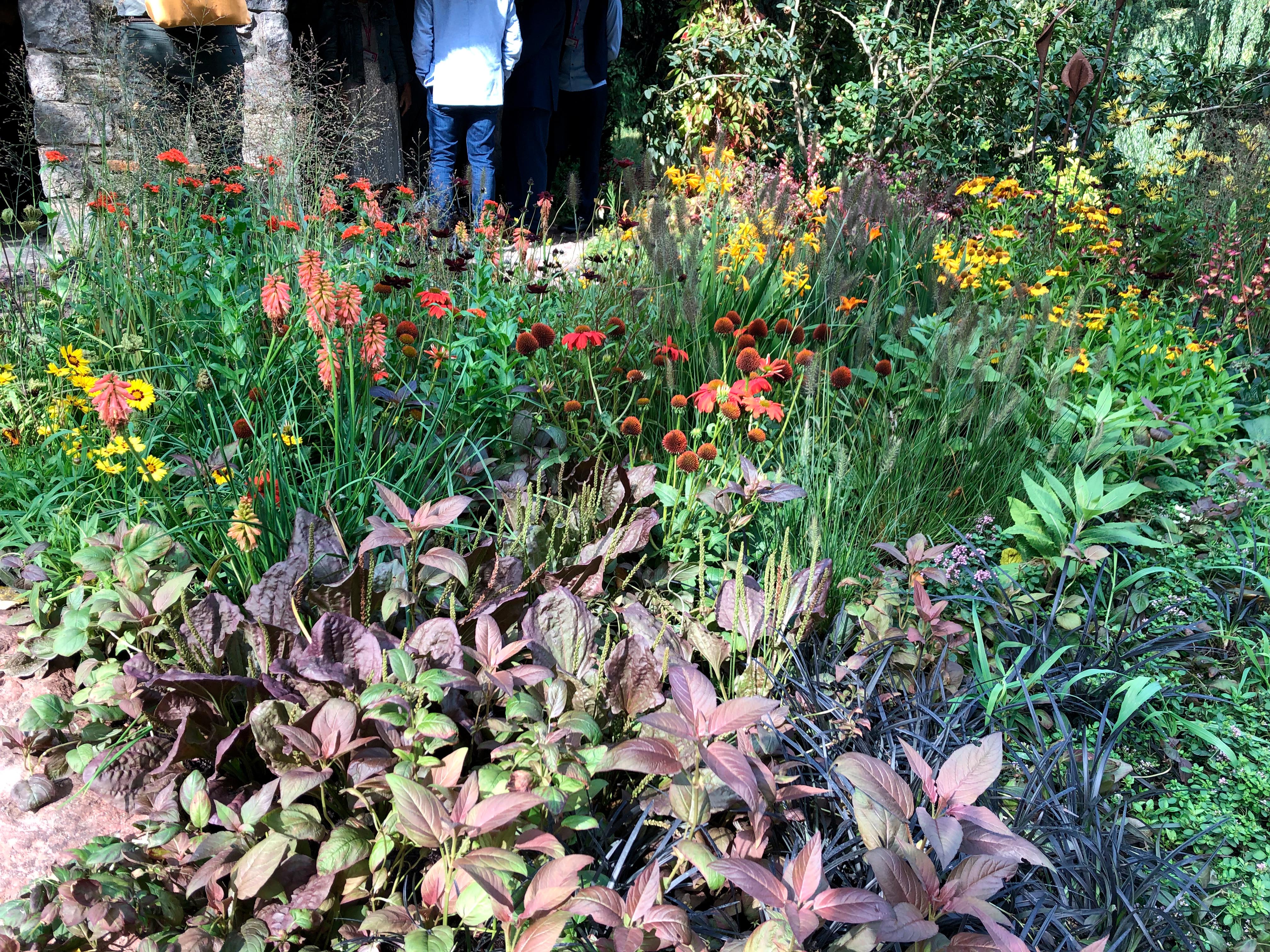The Blue Diamond Forge Garden at Chelsea 2021