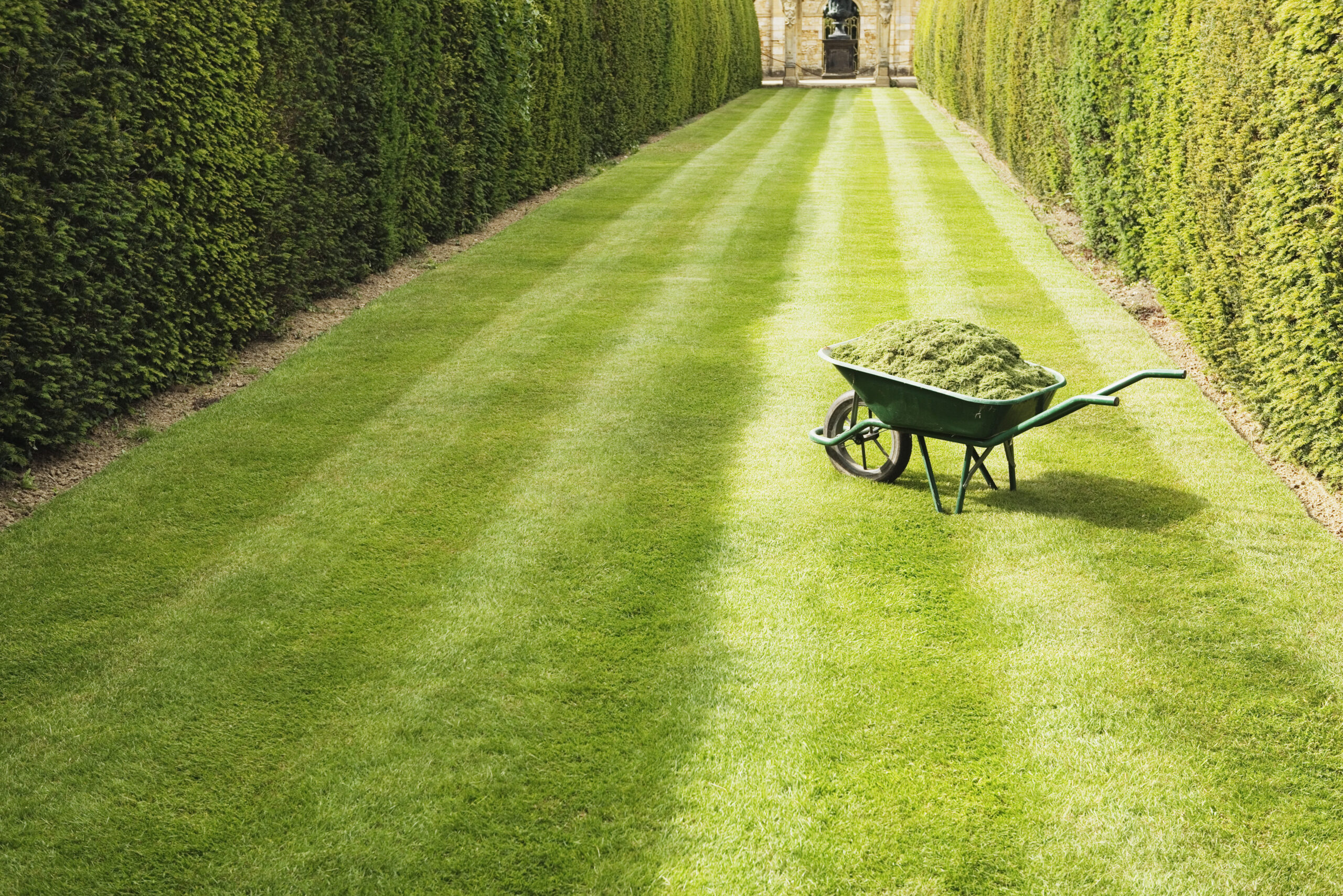 Wheelbarrow full with grass clippings on mown, striped lawn at Hever Castle gardens