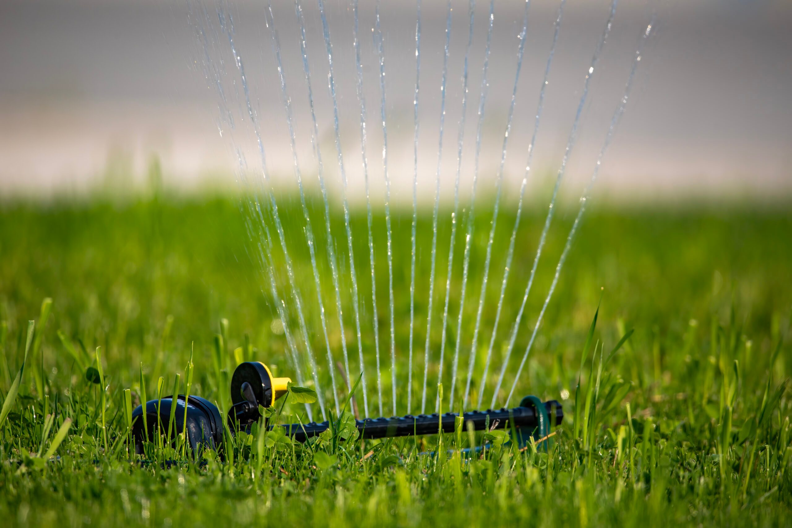 Water Sprinkler on lawn