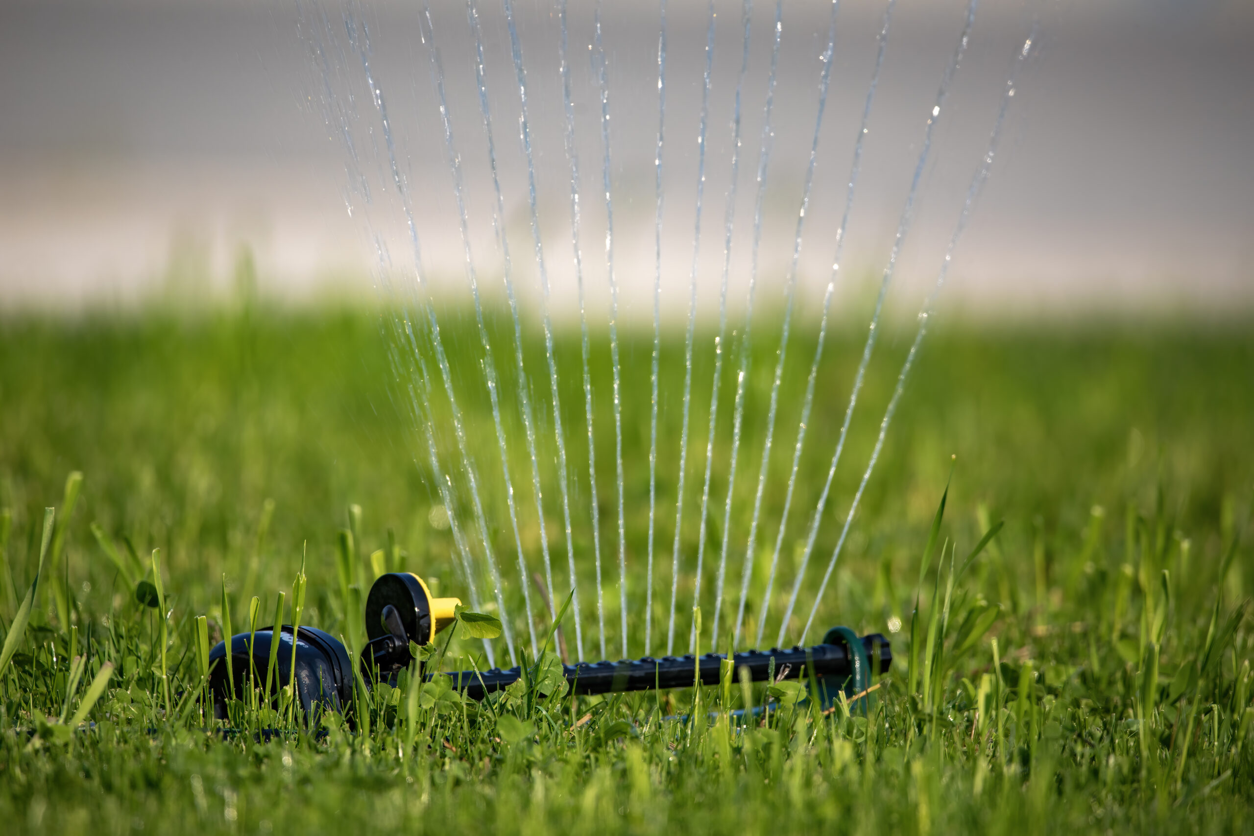 Water Sprinkler on lawn