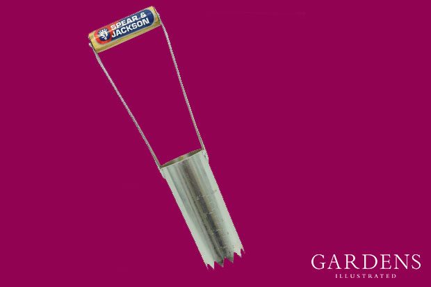 Spear Jackson 5710BP Midi Bulb Planter on a pink background