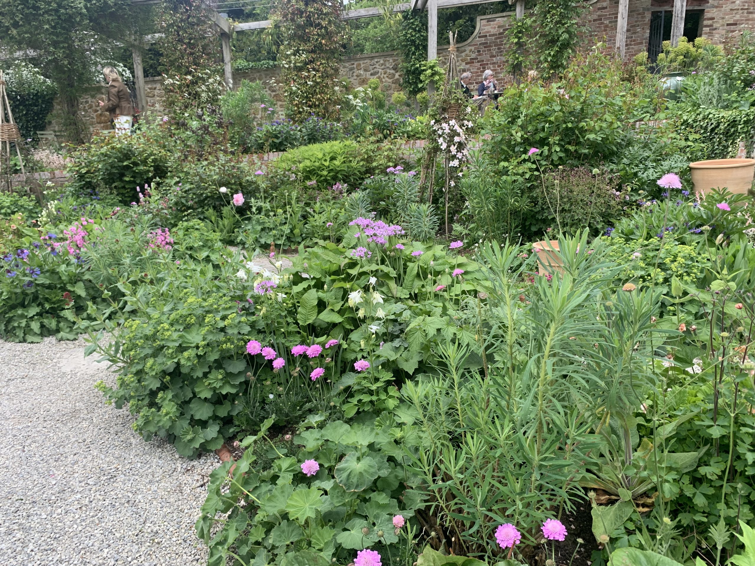 Pink garden at The Newt in Somerset