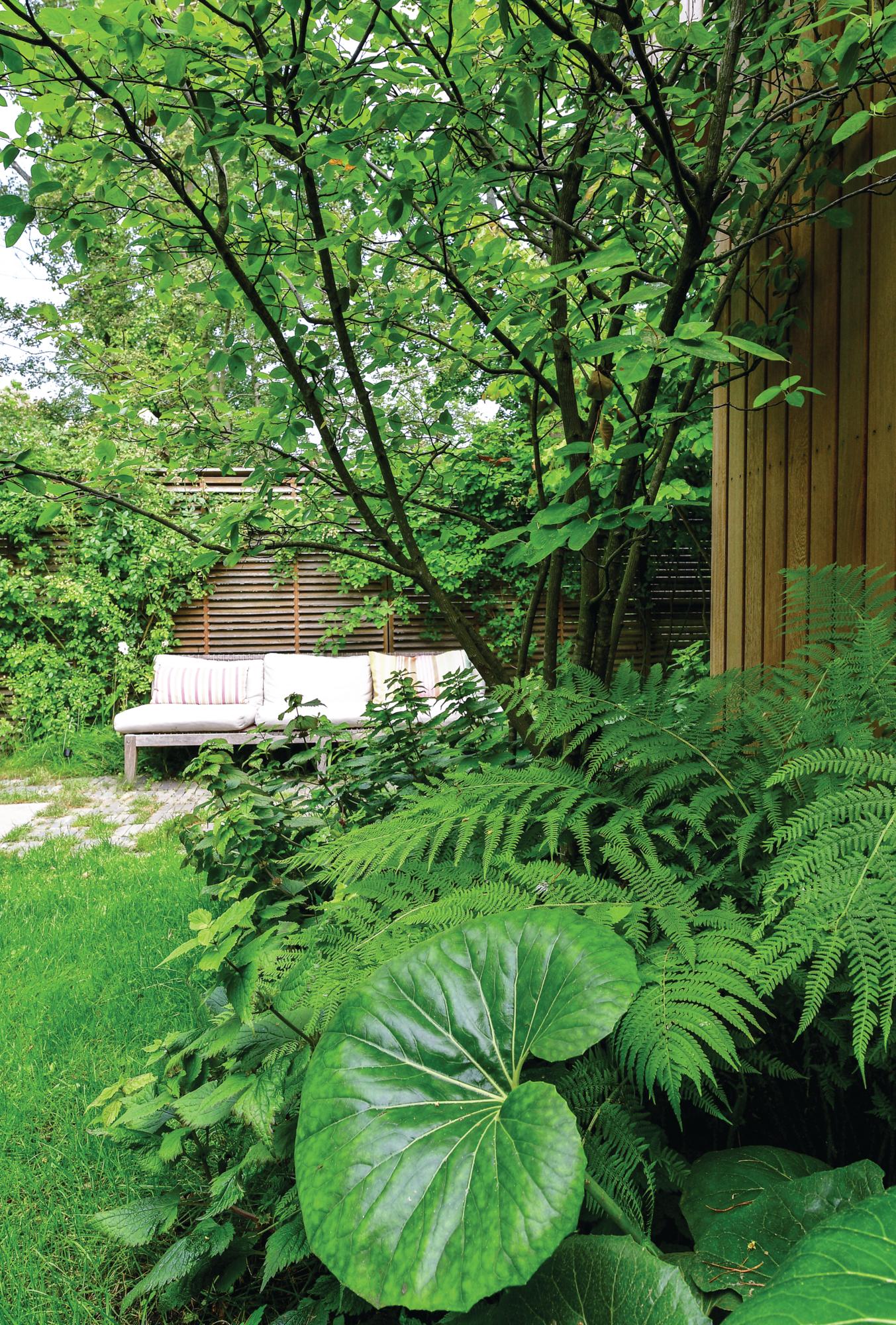 Carolien Barkman's naturalistic small city design in Amsterdam