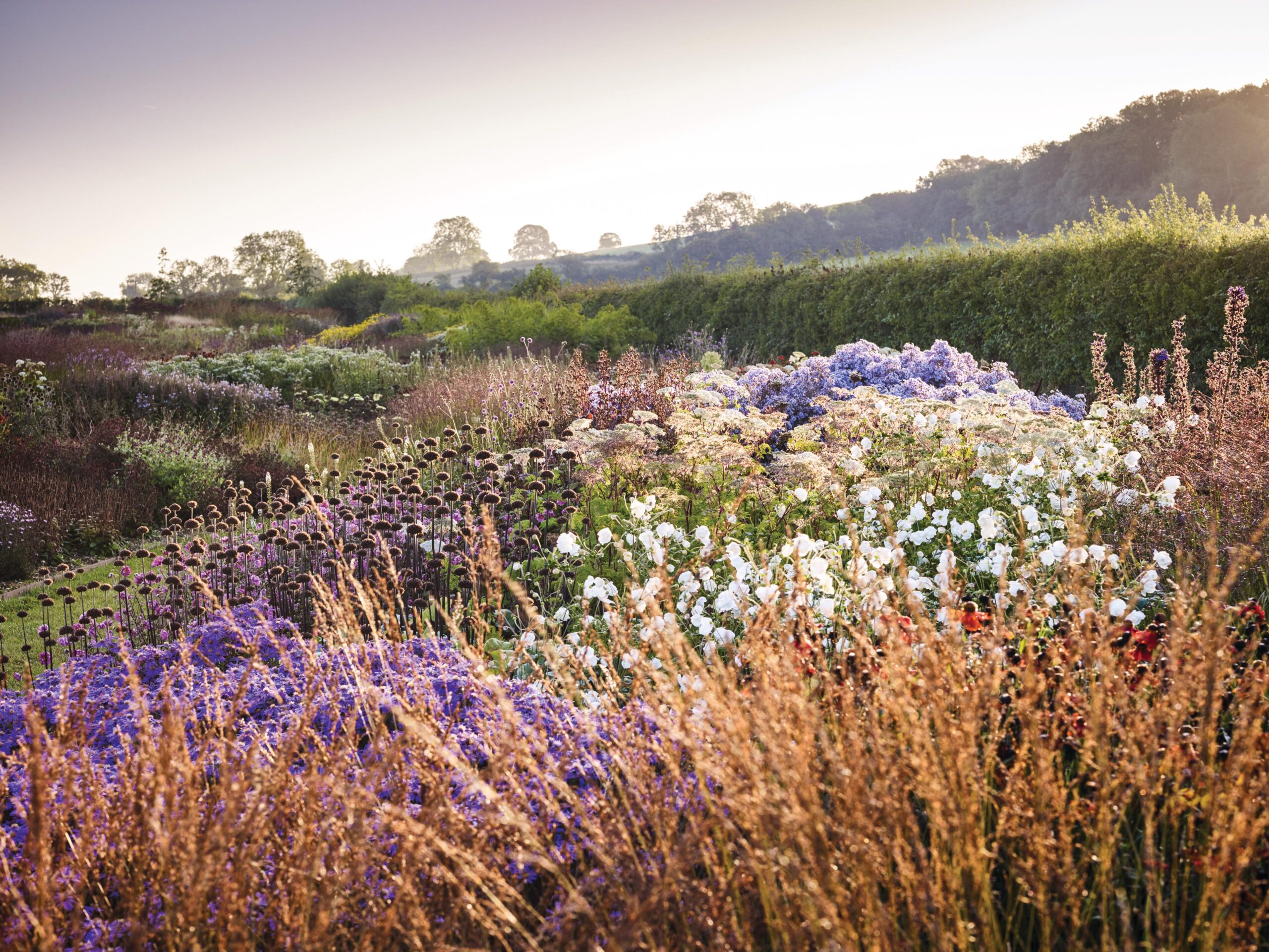 Oudolf Field at Hauser and Wirth, Somerset