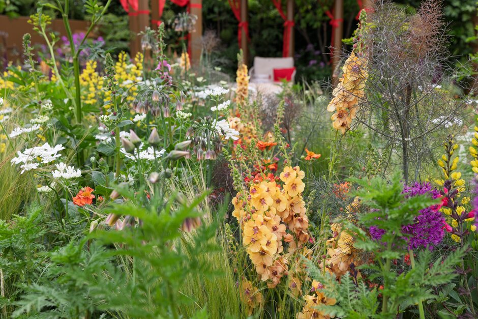 Tackle HIV Challenging Stigma Garden. Designed by Manoj Malde. Small Show Garden at RHS Chelsea Flower Show 2025 © Sarah Cuttle