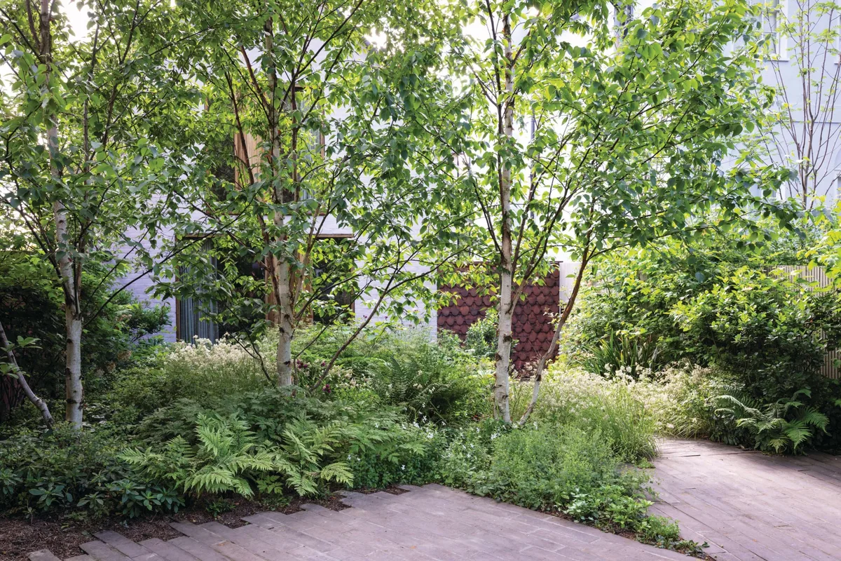 A parking space within a front garden designed by Jane Brockbank A parking space within a front garden designed by Jane Brockbank