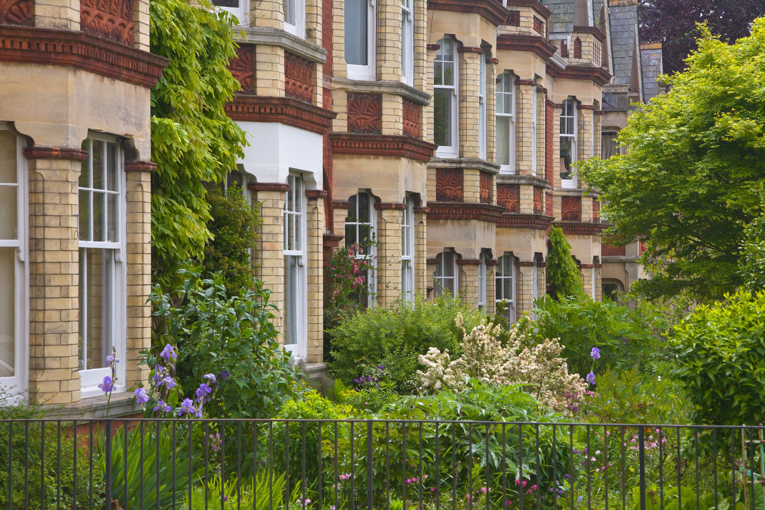 Planted suburban front gardens