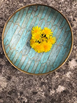 Dandelion flower honey Dandelions