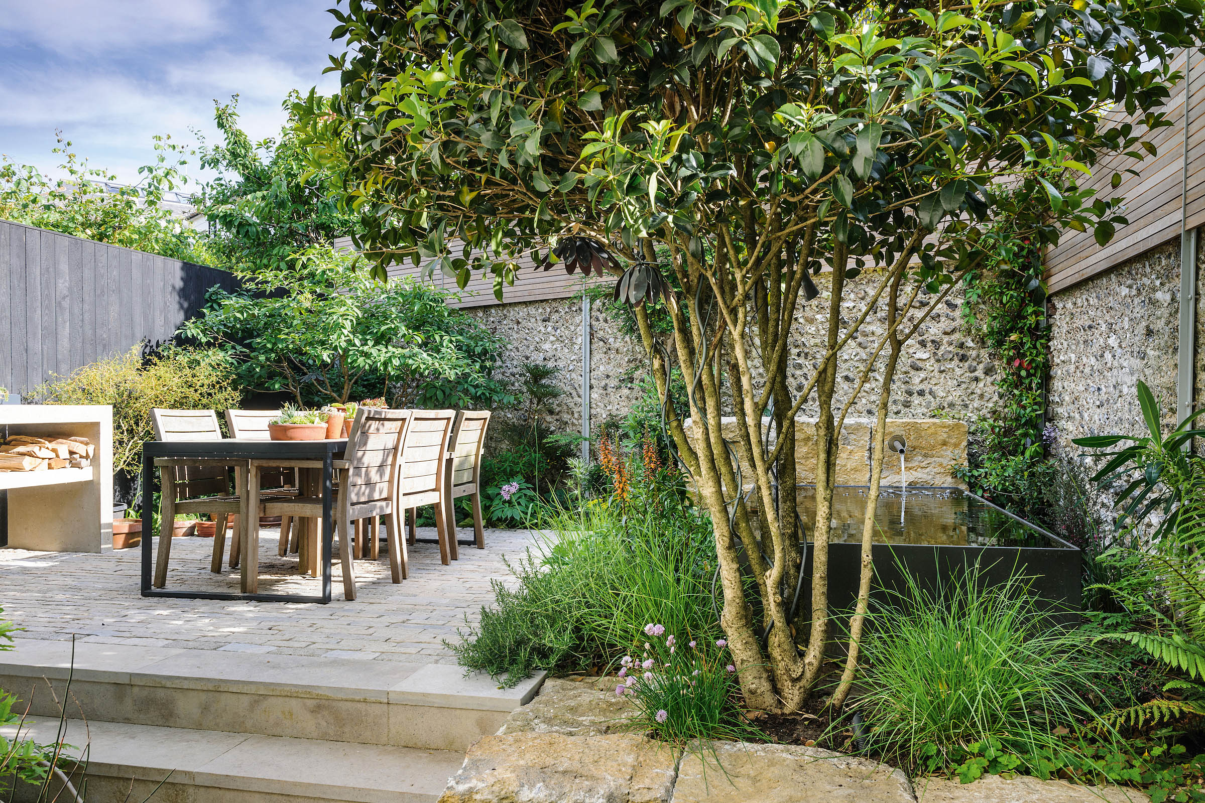 Andy Sturgeon's garden in Brighton