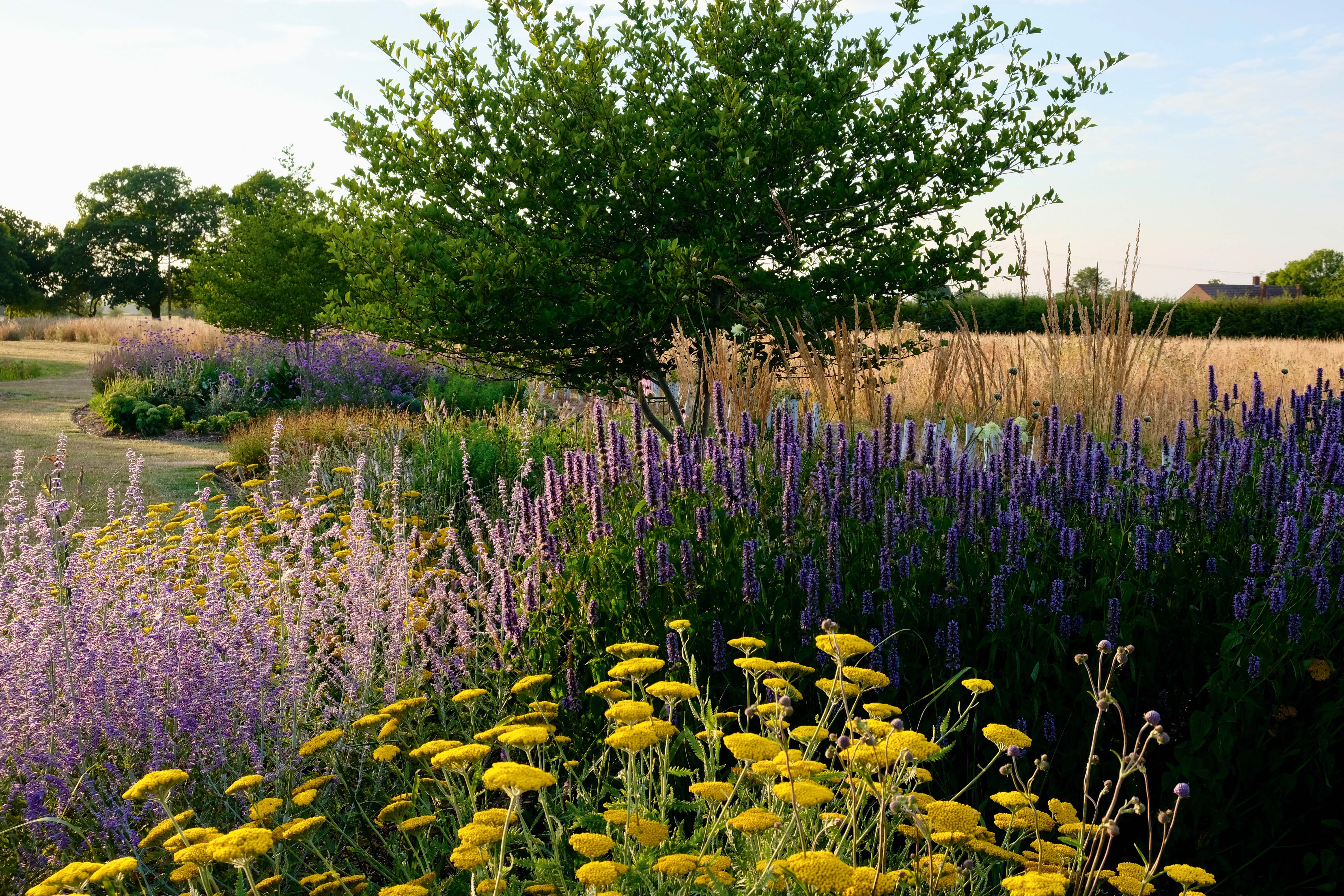 Sue Townsend garden