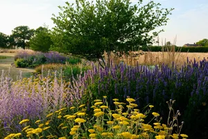 Sue Townsend garden Sue Townsend garden