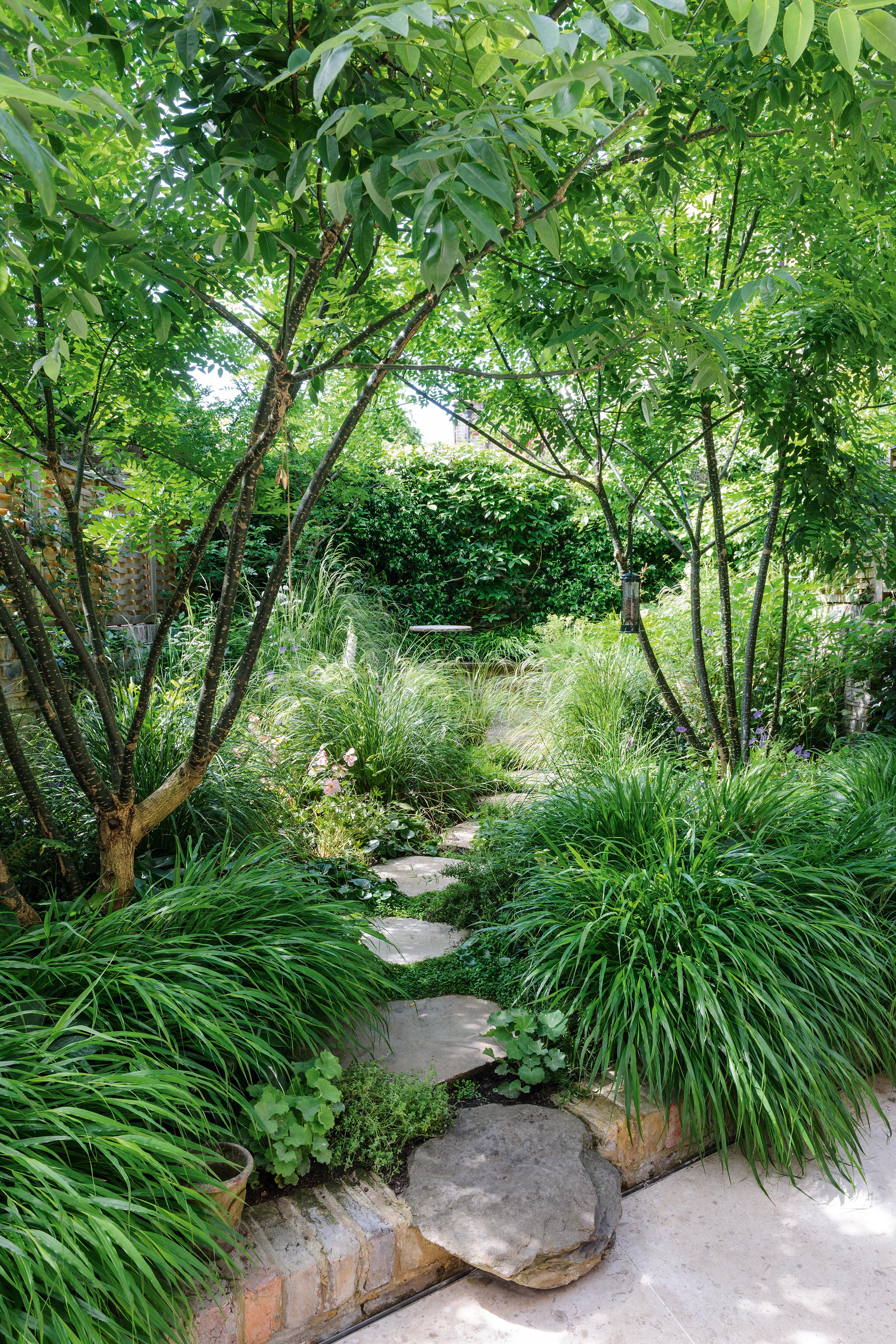 A pair of Japanese pagoda trees (Styphnolobium japonicum) are an airy presence at the front of the garden, with mounds of Hakonechloa macra at their feet. Stepping up from the smooth concrete area by the house, a fixed boulder is followed by fettled, York paving stepping stones.