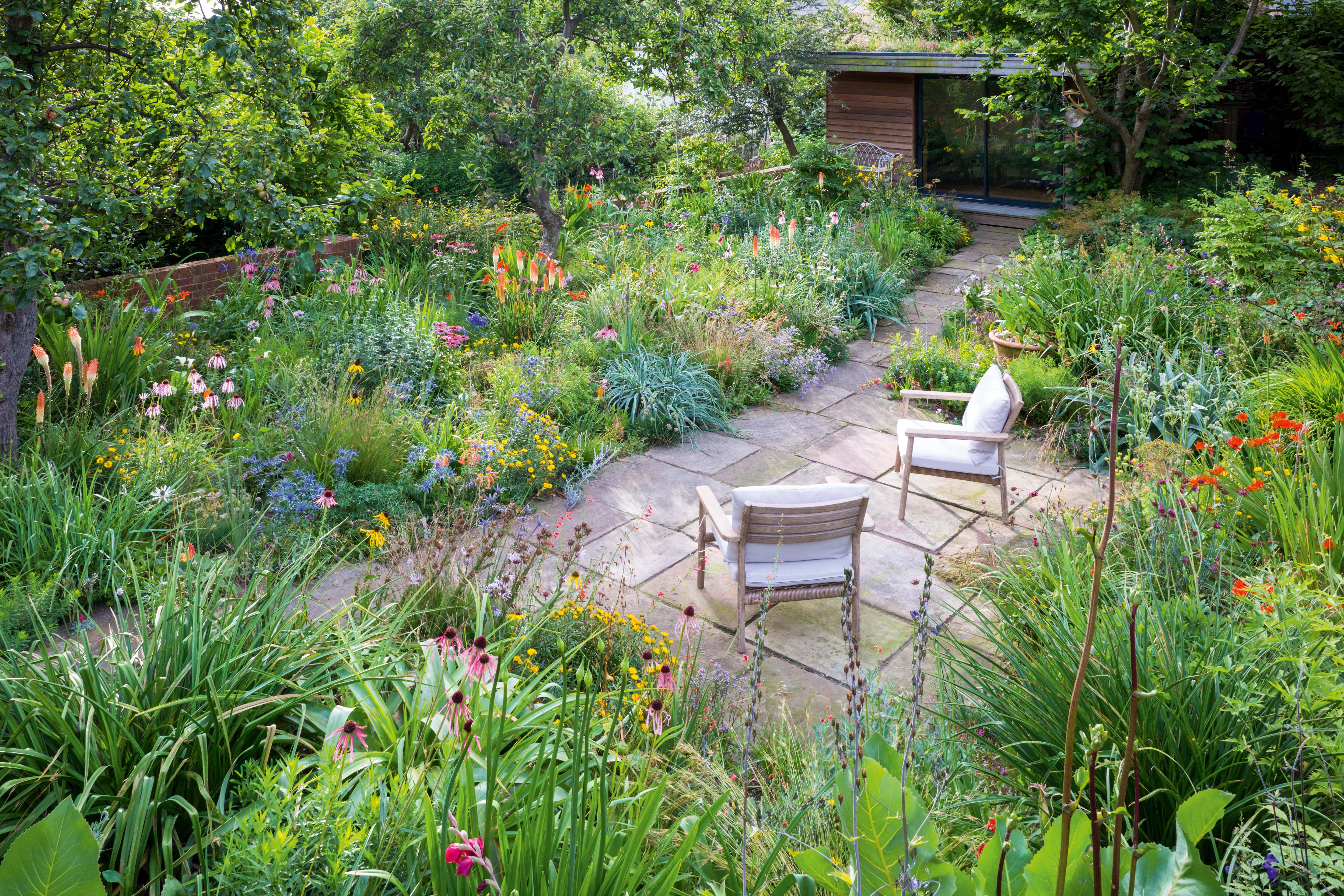 Seating area at James Hitchmough's Sheffield garden in August.
