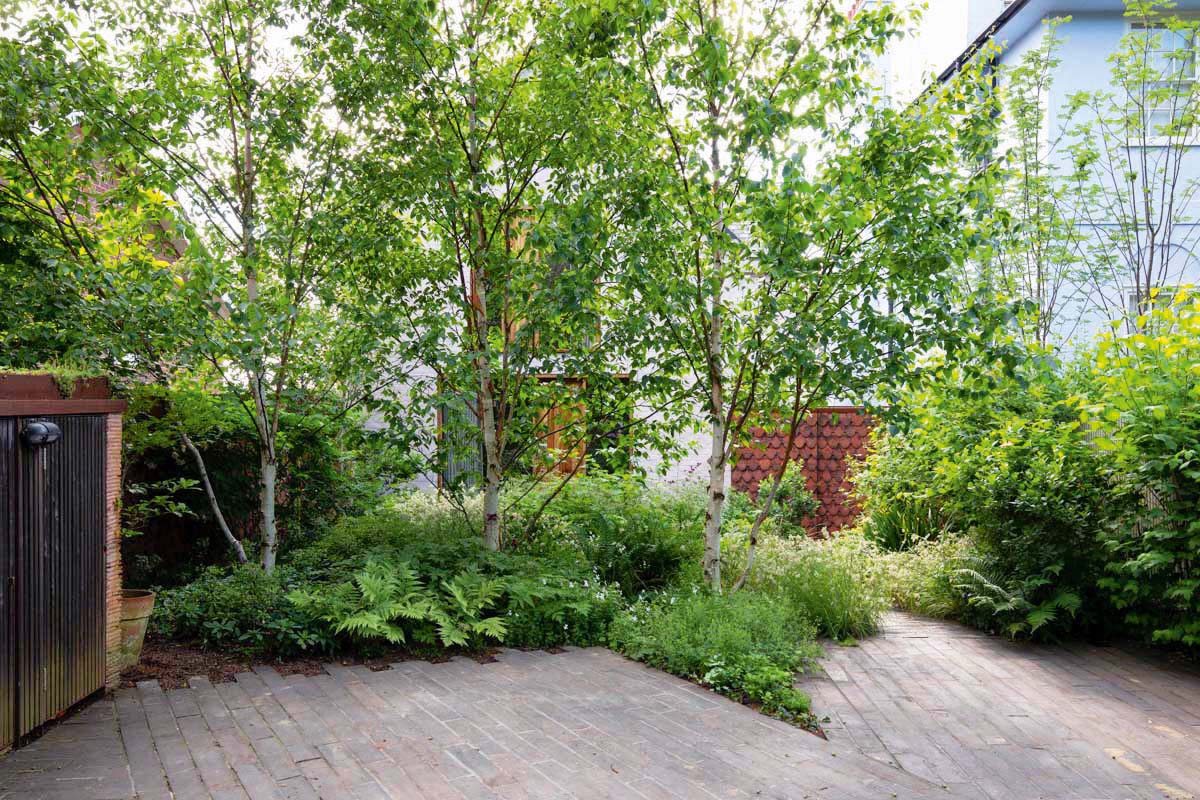 Front Garden with Parking by Jane Brockbank